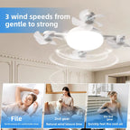 Socket Fan Light with Remote Control, 3 Colour Temperatures, 3 wind speeds, 4 Head